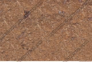 Photo Texture of Wood 0015